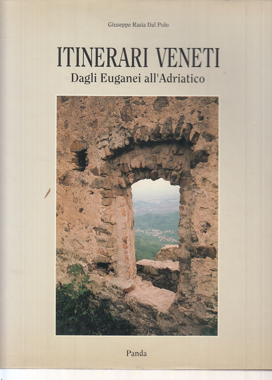 LV- ITINERARI VENETI EUGANEI ALL'ADRIATICO - POLO - PANDA --- 1993 - CS - ZFS381