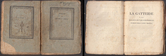 POESIE OPERE POETICHE VOLUME V GATTEIDE - MICHELE ZEZZA ---- 1818- B- XFS105