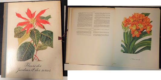 LZ- FLEURS DES JARDINS ET DES SERRES I VOL- DUVERNAY- BORDAS--- 1962- C - YFS863