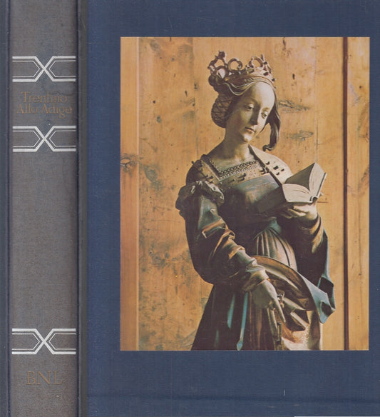 LV- TRENTINO ALTO ADIGE CON COFANETTO -- ELECTA BNL --- 1979- C- ZFS363