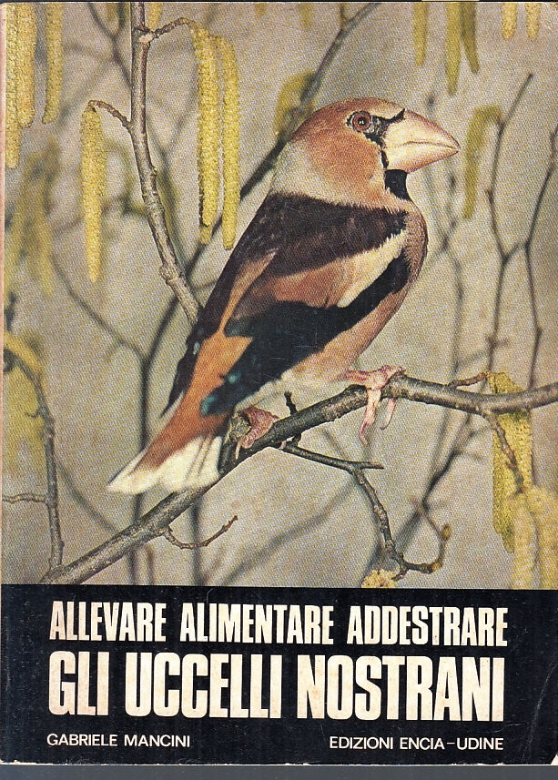 LZ- ALLEVARE ALIMENTARE ADDESTRARE UCCELLI NOSTRANI- MANCINI---- 1972- B- ZFS249
