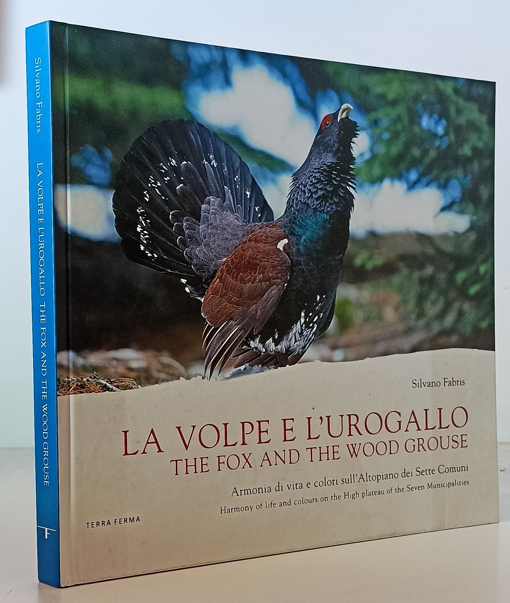 LZ- LA VOLPE E L'UROGALLO THE FOX- SILVANO FABBRI- TERRA FERMA--- 2009- C-ZTT685
