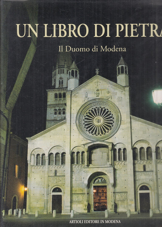 LT- UN LIBRO DI PIETRA IL DUOMO DI MODENA -- ARTIOLI EDITORE ---- CS - YFS686