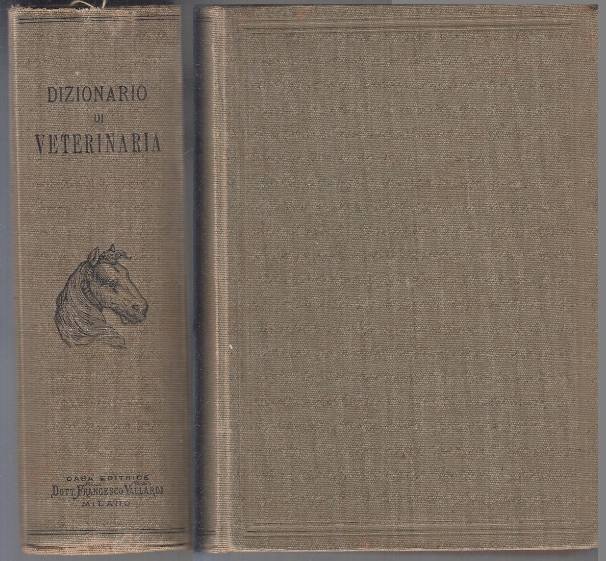 LZ- DIZIONARIO PRATICO DI VETERINARIA 1/2- VACHETTA- VALLARDI--- 1911- C- YFS877