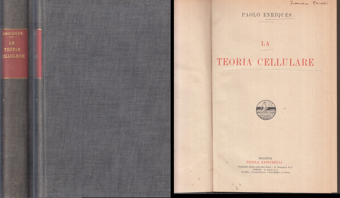 LZ- LA TEORIA CELLULARE - PAOLO ENRIQUES - ZANICHELLI --- 1911 - C- ZFS446