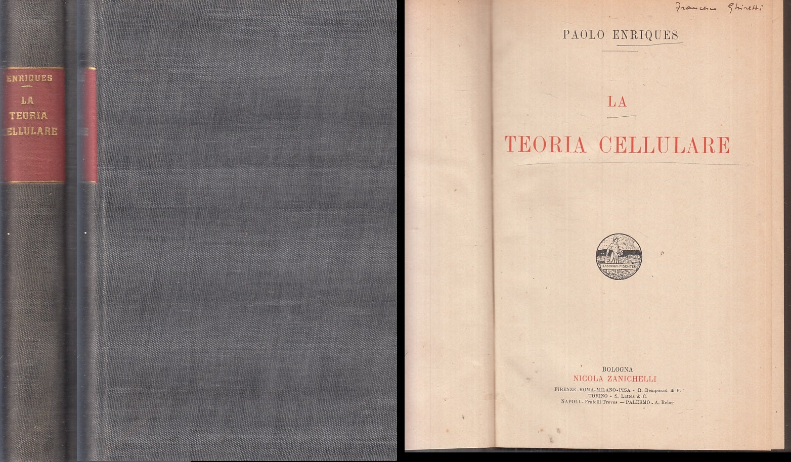 LZ- LA TEORIA CELLULARE - PAOLO ENRIQUES - ZANICHELLI --- 1911 - C- ZFS446