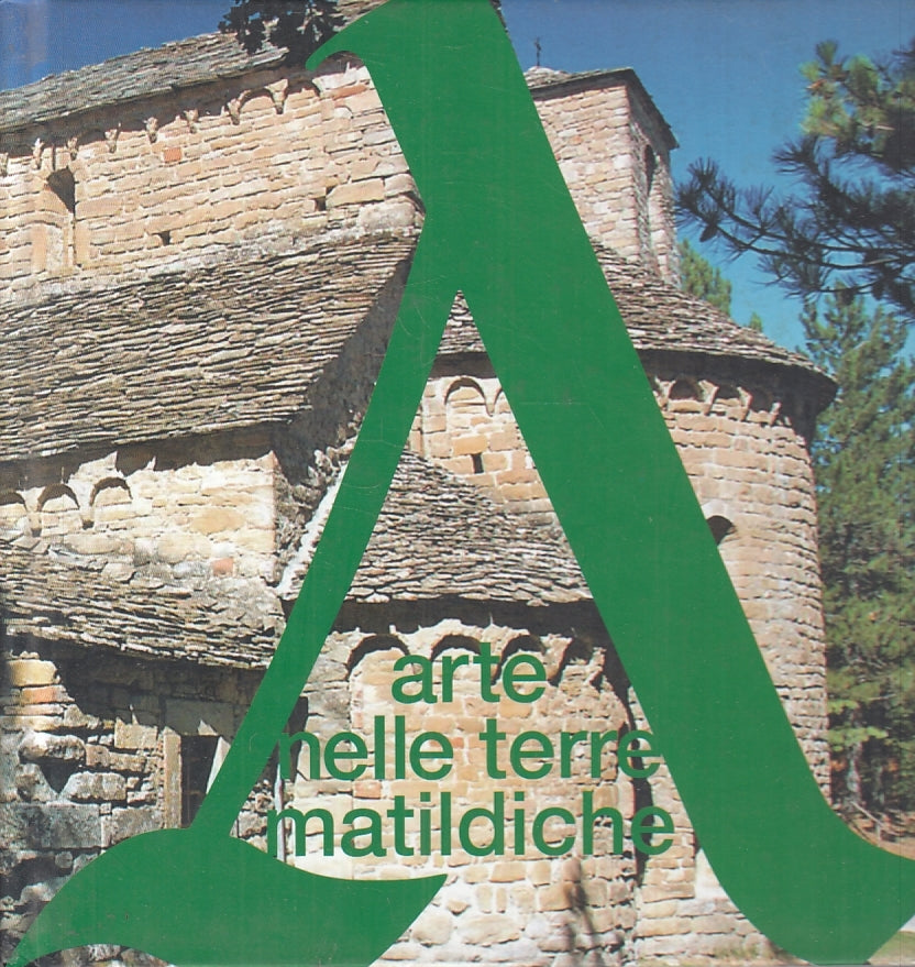 LT- ARTE NELLE TERRE MATILDICHE-- CENTRO STUDI VALLI DEL TERMINA--- 2011- C- WPR