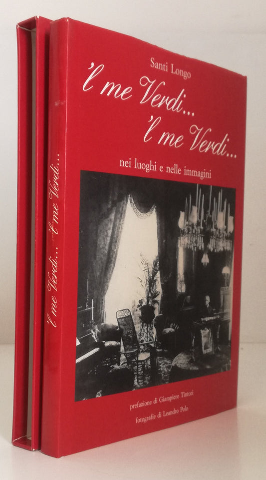 LT- 'L ME VERDI... NEI LUOGHI E NELLE IMMAGINI - SANTI LONGO ---- 1989 - CS- WPR