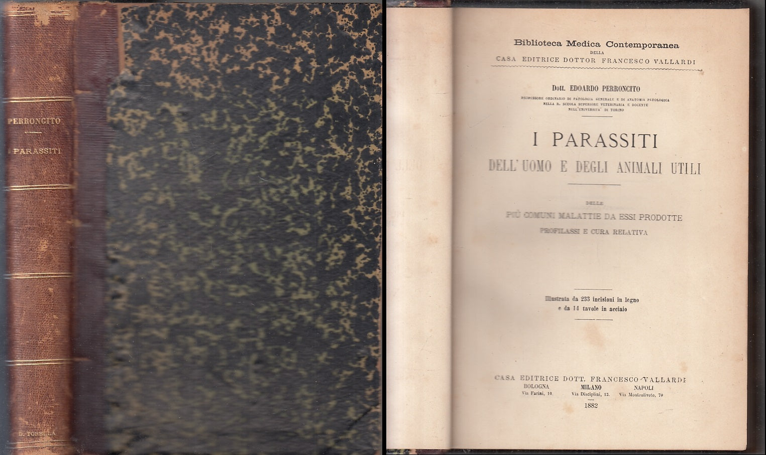 LH- I PARASSITI DELL'UOMO E DEGLI ANIMALI- PERRONCITO- VALLARDI- 1882- C- ZFS206