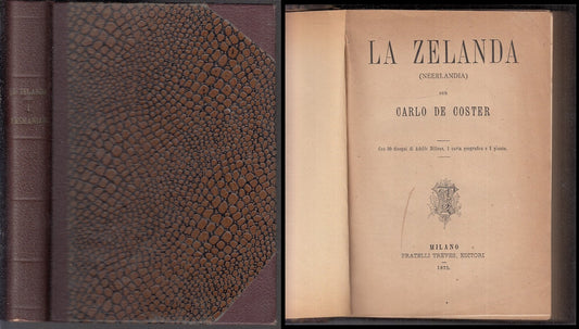 LV- LA ZELANDA NEERLANDA TASMANIANI- CARLO DE COSTER- TREVES--- 1875- C- ZFS245