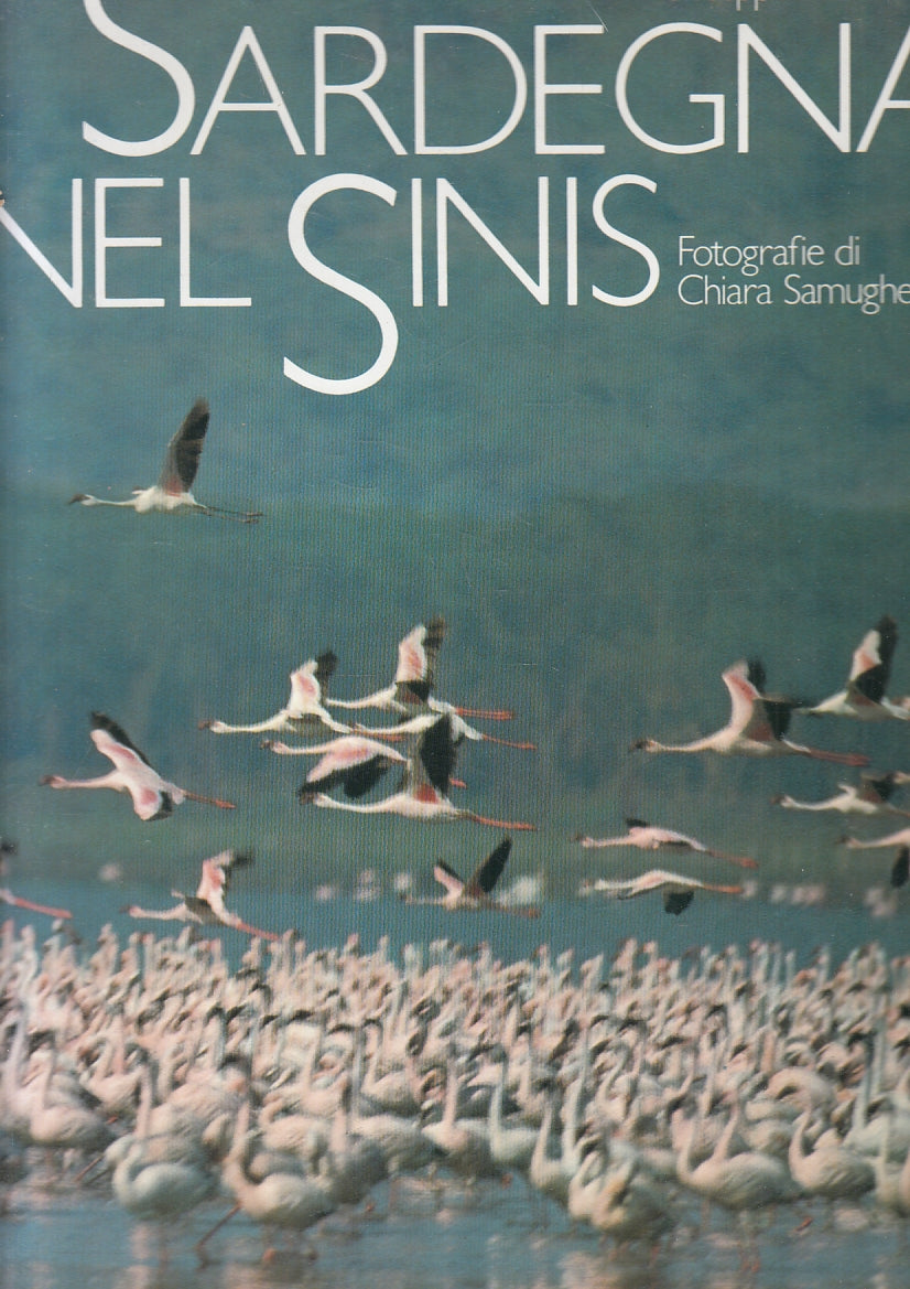 LV- SARDEGNA NEL SINIS - GIUSEPPE PAU - L'UNIONE SARDA --- 1983 - CS - ZFS731