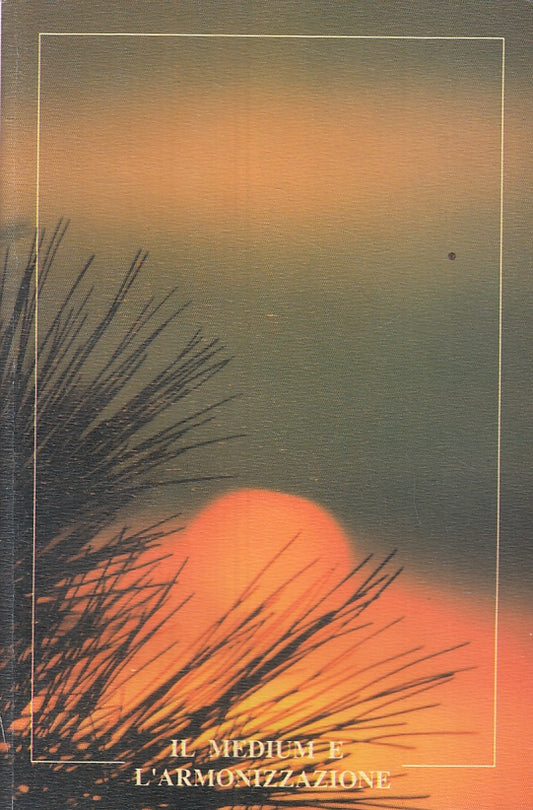 LZ- IL MEDIUM E L'ARMONIZZAZIONE - INGO DONI ---- 1999 - B- ZFS315