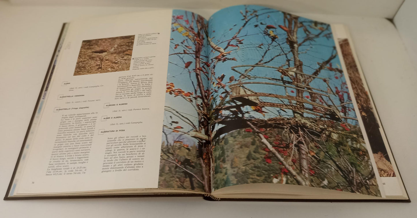 LZ- ENCICLOPEDIA CACCIATORE 7 VOLUMI CINOFILIA CINOTECNIA- FABBRI- 1967-C-BLCP27