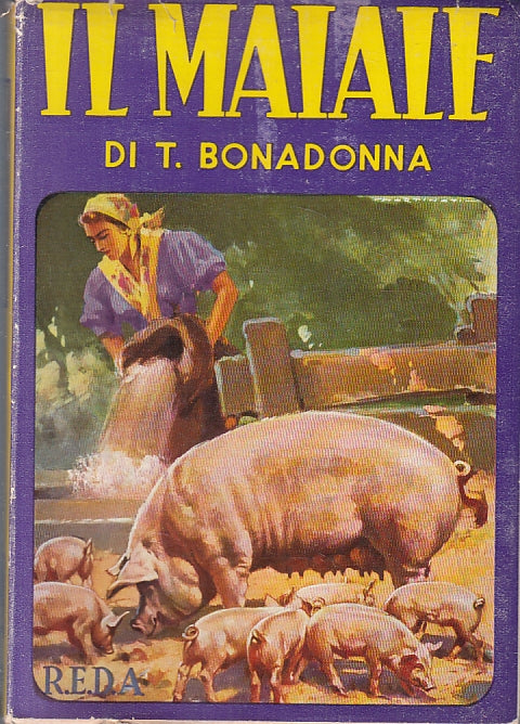 LZ- IL MAIALE ALLEVAMENTO - BONADONNA - REDA - MANUALI -- 1960 - B- YFZFS141