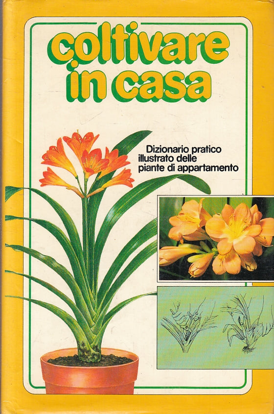 LZ- COLTIVARE IN CASA DIZIONARIO PRATICO ILLUSTRATO - EUROCLUB- 1987- CS- ZFS141