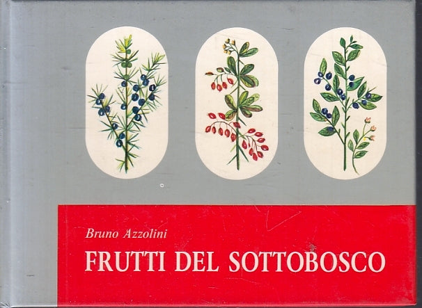 Frutti del sottobosco - Bruno Azzolini - Monauni - 1974 - illustrato - ZFS97