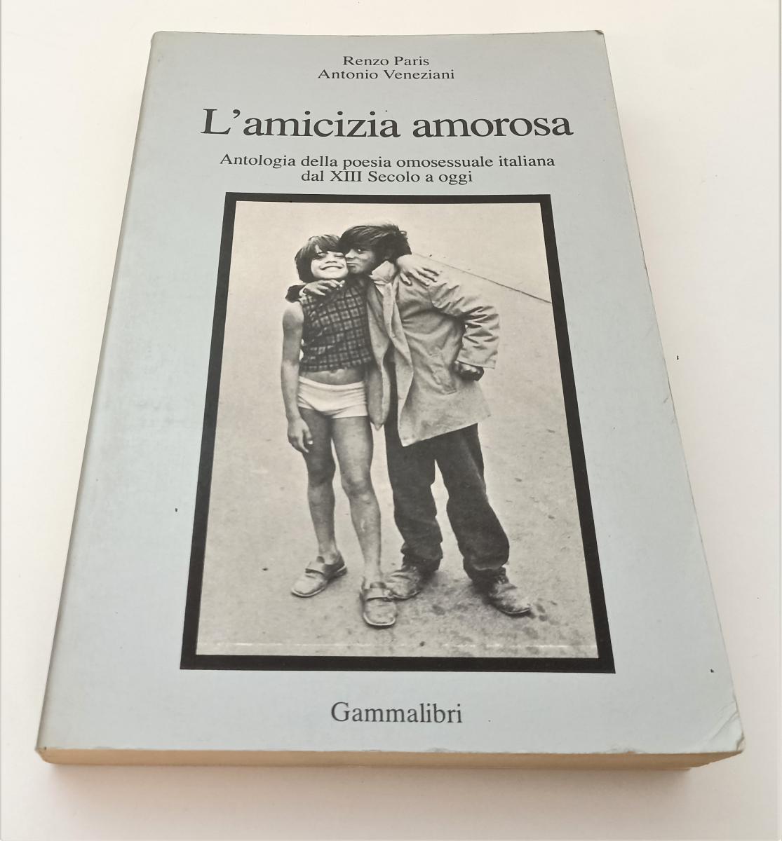 LZ- L'AMICIZIA AMOROSA - PARIS VENEZIANI - GAMMALIBRI --- 1982 - B - XFS142