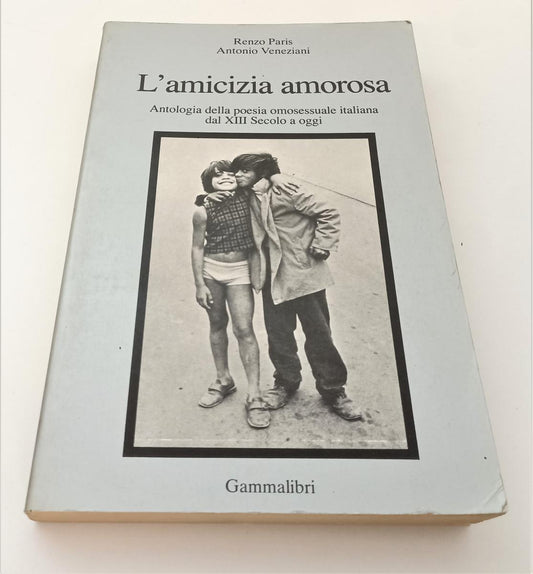 LZ- L'AMICIZIA AMOROSA - PARIS VENEZIANI - GAMMALIBRI --- 1982 - B - XFS142