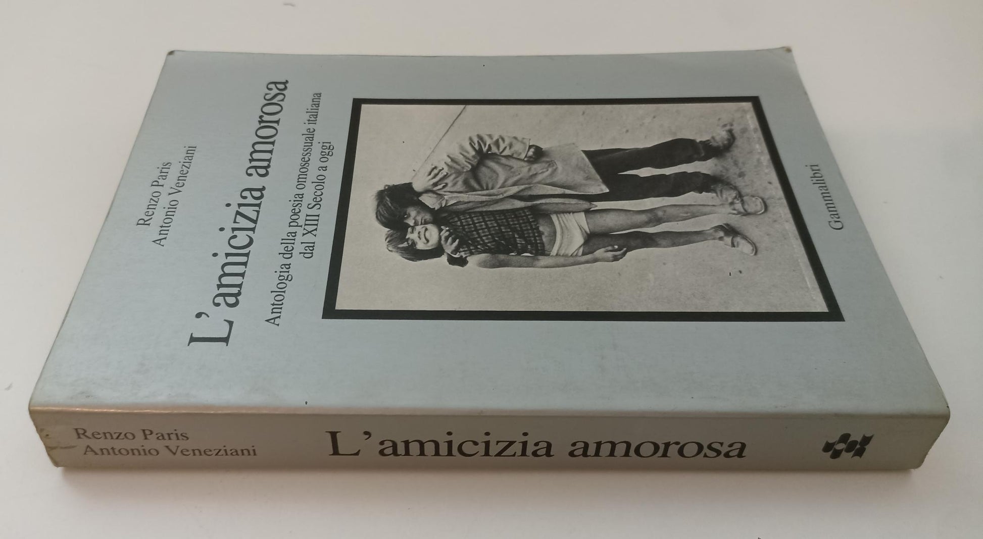 LZ- L'AMICIZIA AMOROSA - PARIS VENEZIANI - GAMMALIBRI --- 1982 - B - XFS142