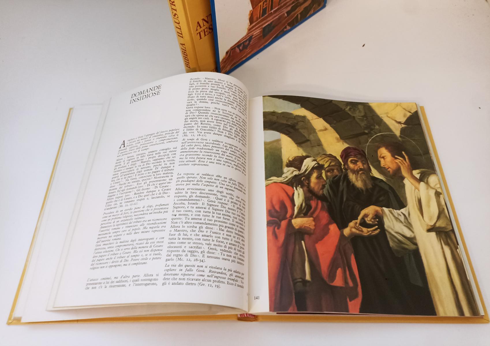 LD- LA BIBBIA ILLUSTRATA ANTICO E NUOVO TESTAMENTO -- PAOLINE--- 1983- C- ZFS497