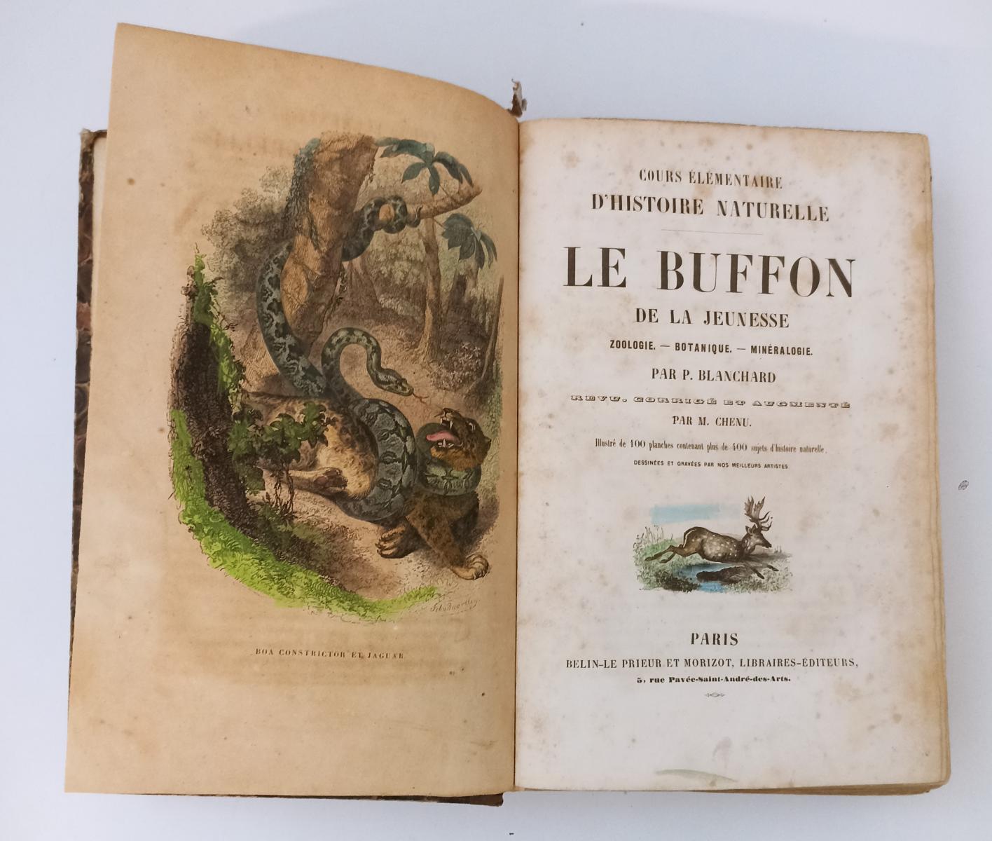 LH- HISTOIRE NATURELLE LE BUFFON DE LA JEUNESSE- BLANCHARD---- 1859- C- XFS95