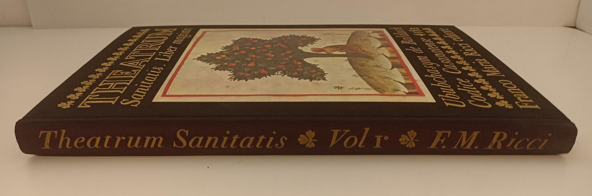 LT- THEATRUM SANITATIS 3 VOLUMI -- FRANCO MARIA RICCI - I SEGNI DELL'UOMO