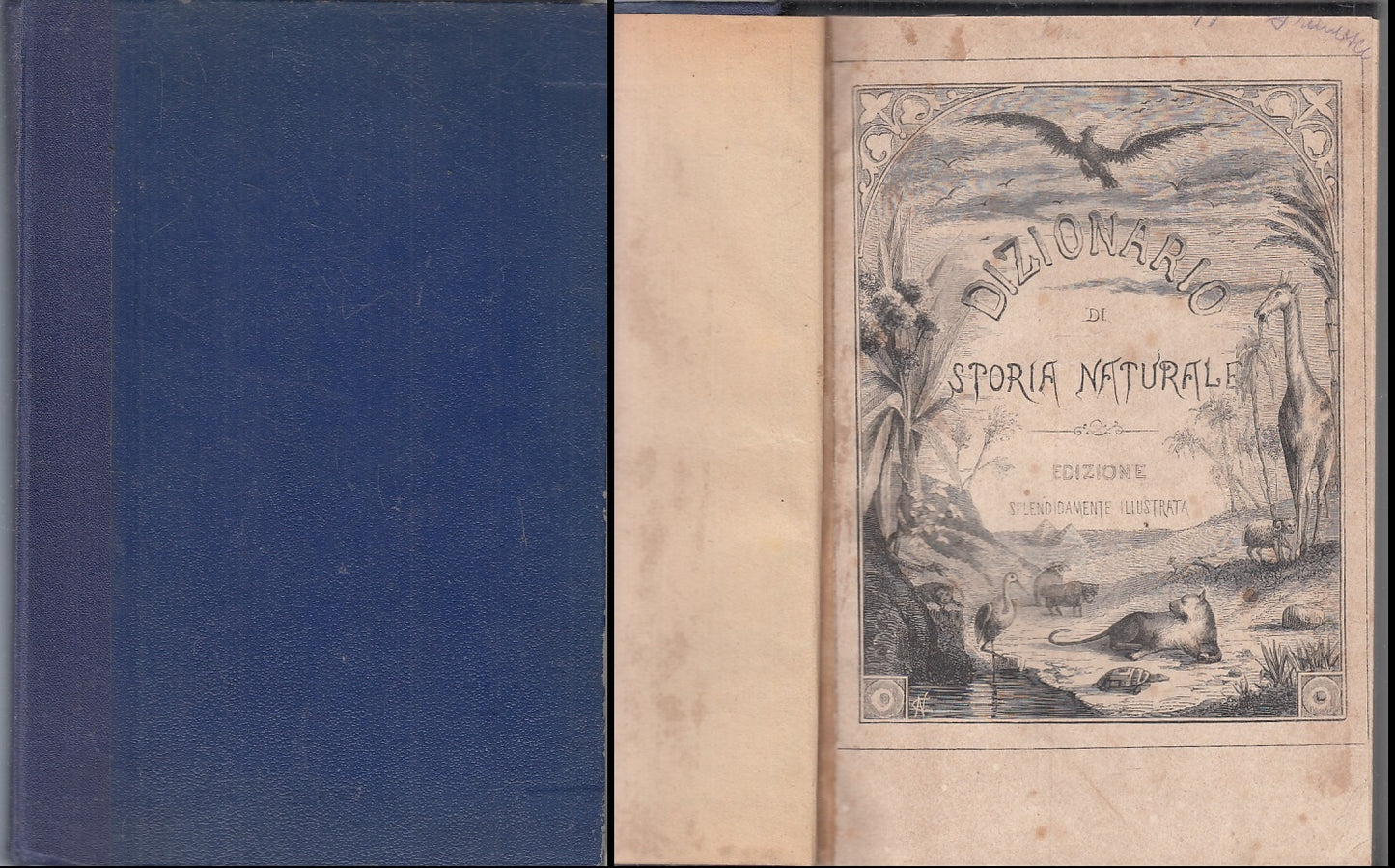 LZ- DIZIONARIO CLASSICO DI STORIA NATURALE -- BESTETTI --- 1875 - C - ZFS645