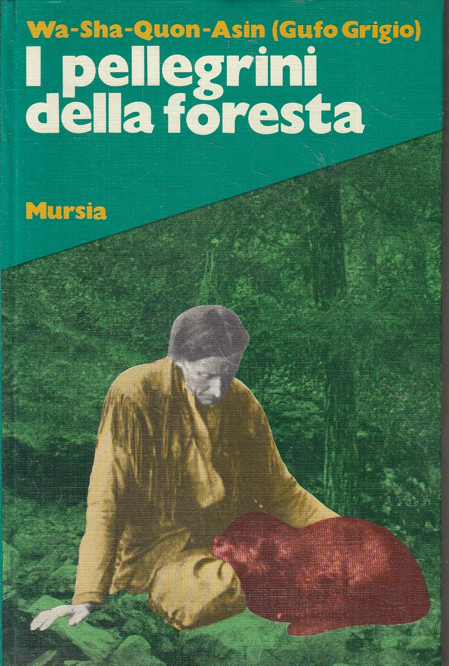 LB- I PELLEGRINI DELLA FORESTA - WA SHA QUON ASIN GUFO GRIGIO - MURSIA- C- YFS47
