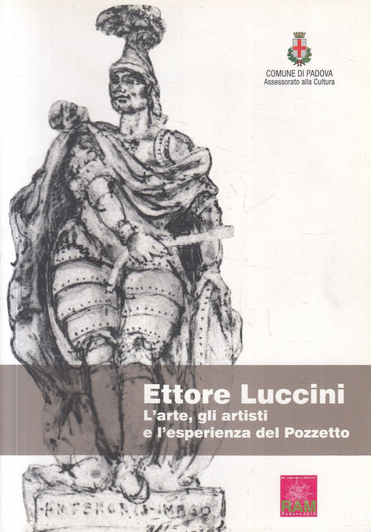 LS- ETTORE LUCCINI ARTE ARTISTI ESPERIENZA POZZETTO -- PADOVA --- 2011 - B- YFS9