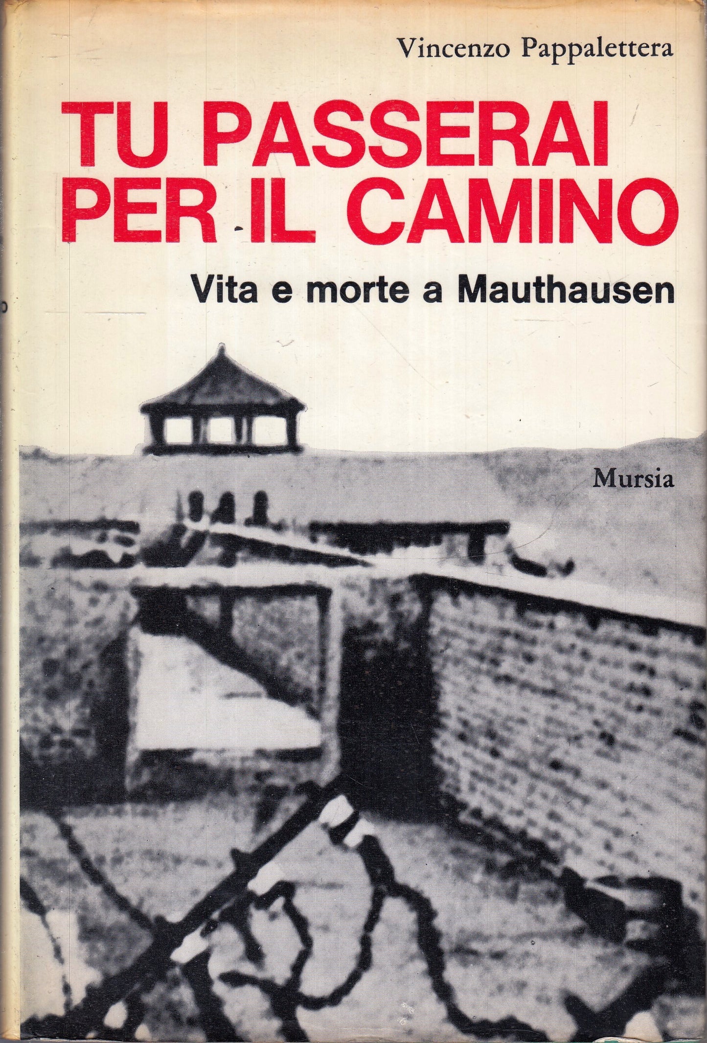 LN- TU PASSERAI PER IL CAMINO MAUTHAUSEN - PAPPALETTERA - MURSIA - CS - YFS498