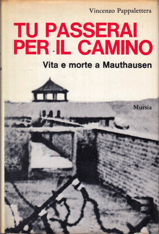 LN- TU PASSERAI PER IL CAMINO MAUTHAUSEN - PAPPALETTERA - MURSIA - CS - YFS498