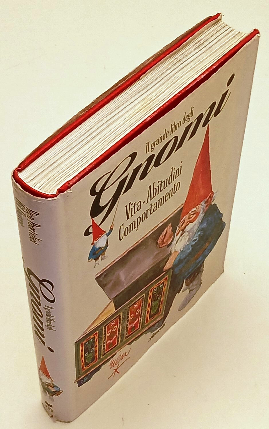 LB- IL GRANDE LIBRO DEGLI GNOMI -- RIZZOLI --- 1994 - CS - YFS844