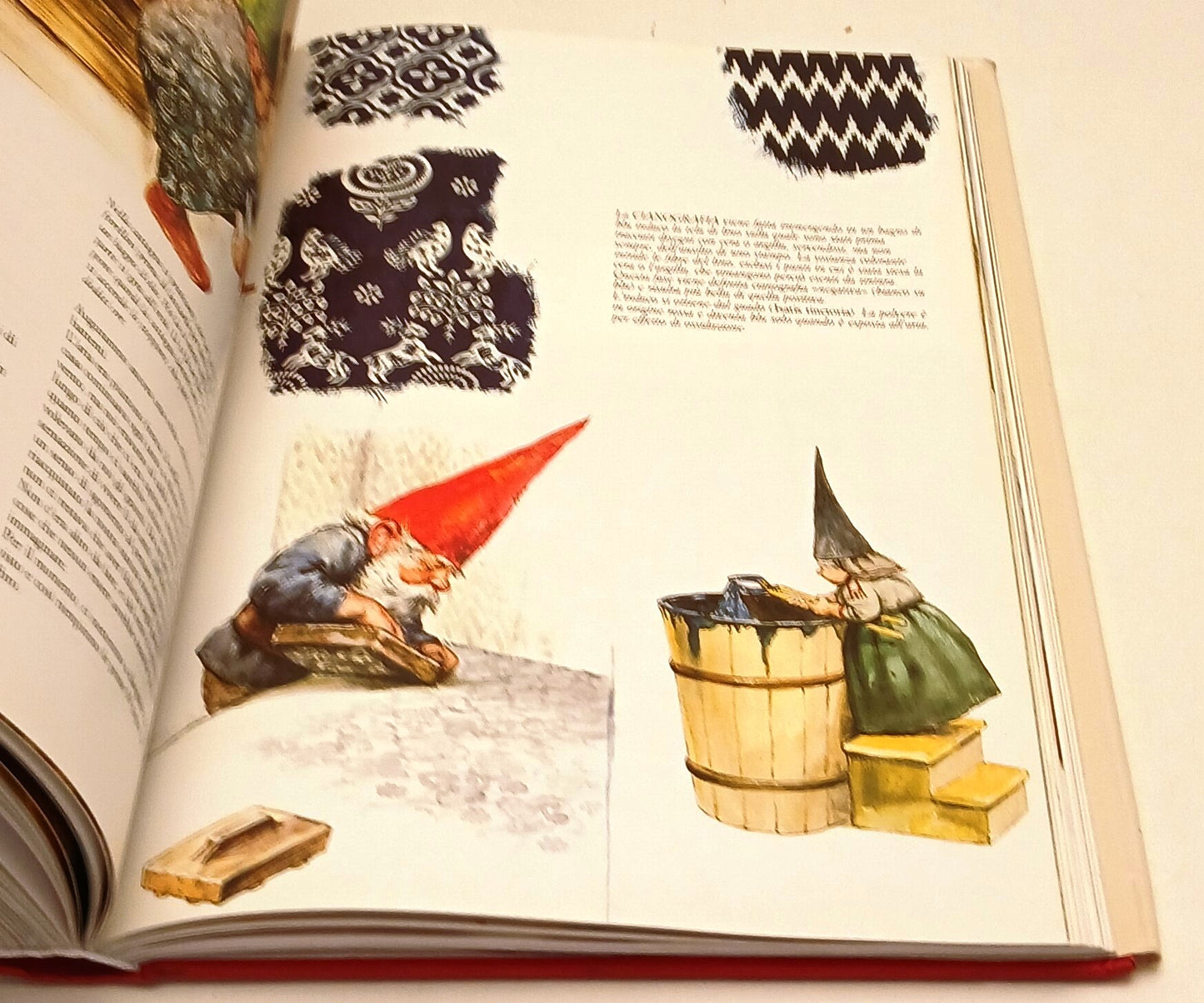 LB- IL GRANDE LIBRO DEGLI GNOMI -- RIZZOLI --- 1994 - CS - YFS844