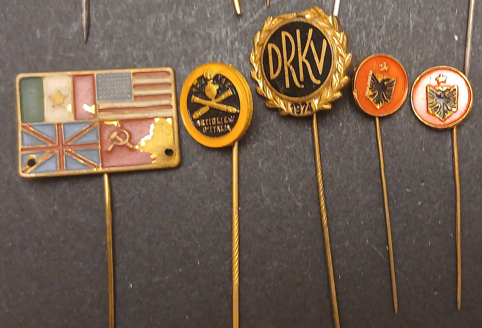 CB- SPILLA DA BAVERO LOTTO 10 PEZZI - GTTS120