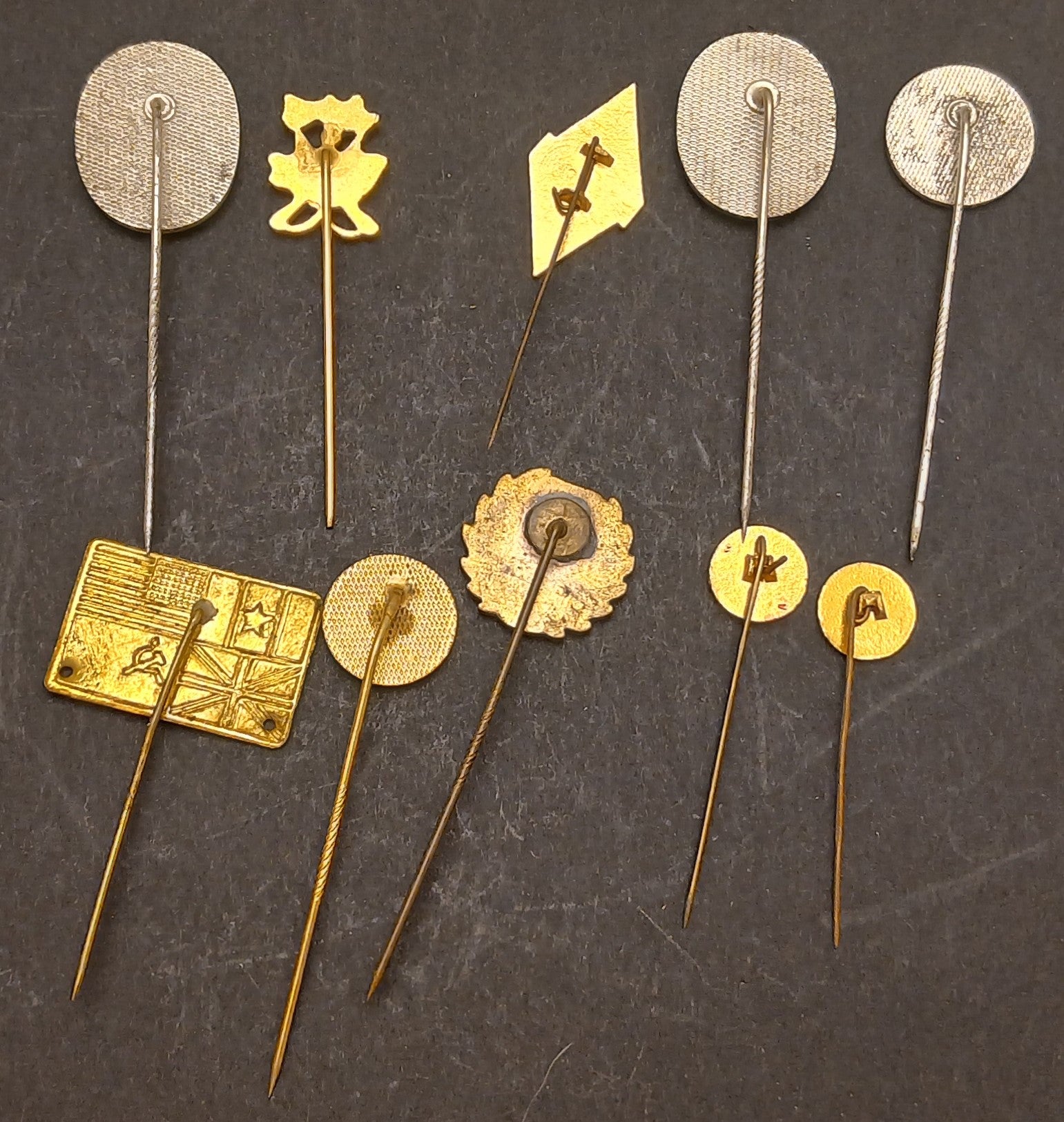 CB- SPILLA DA BAVERO LOTTO 10 PEZZI - GTTS120