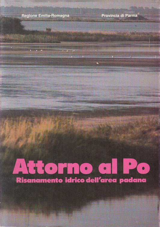 LS- ATTORNO AL PO RISANAMENTO IDRICO AREA PADANA -- PARMA --- 1984 - BS - YFS500
