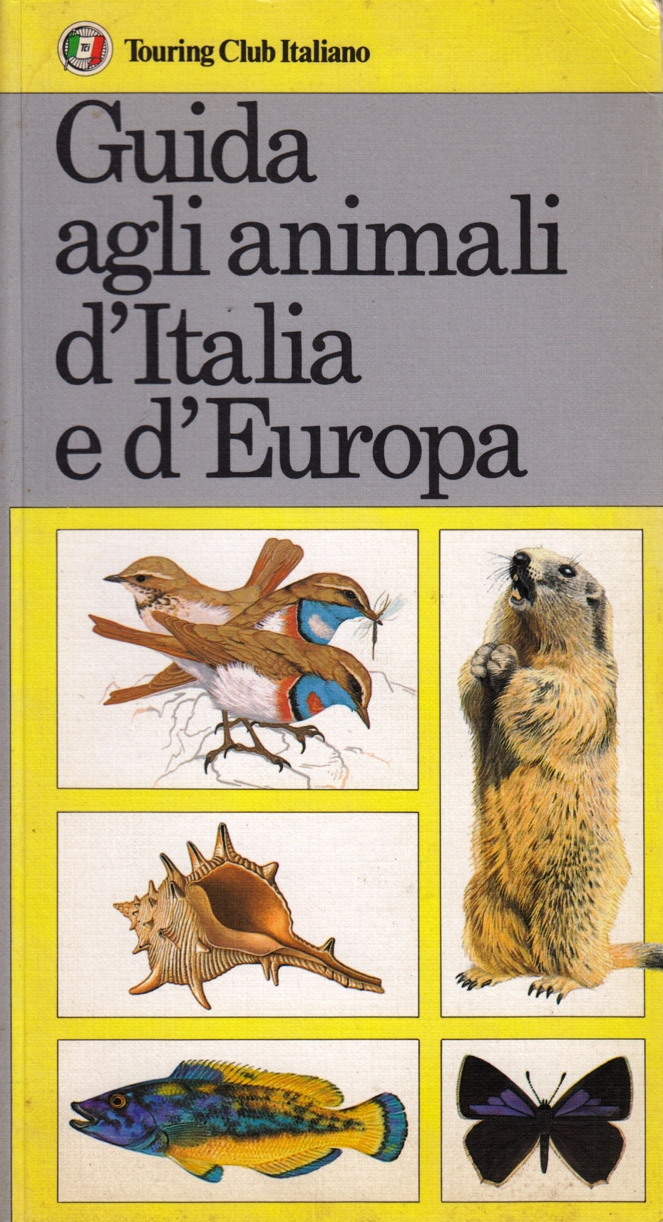 Guida agli animali d'Italia e d'Europa - Touring Club Italiano - 1a ed. - ZFS38