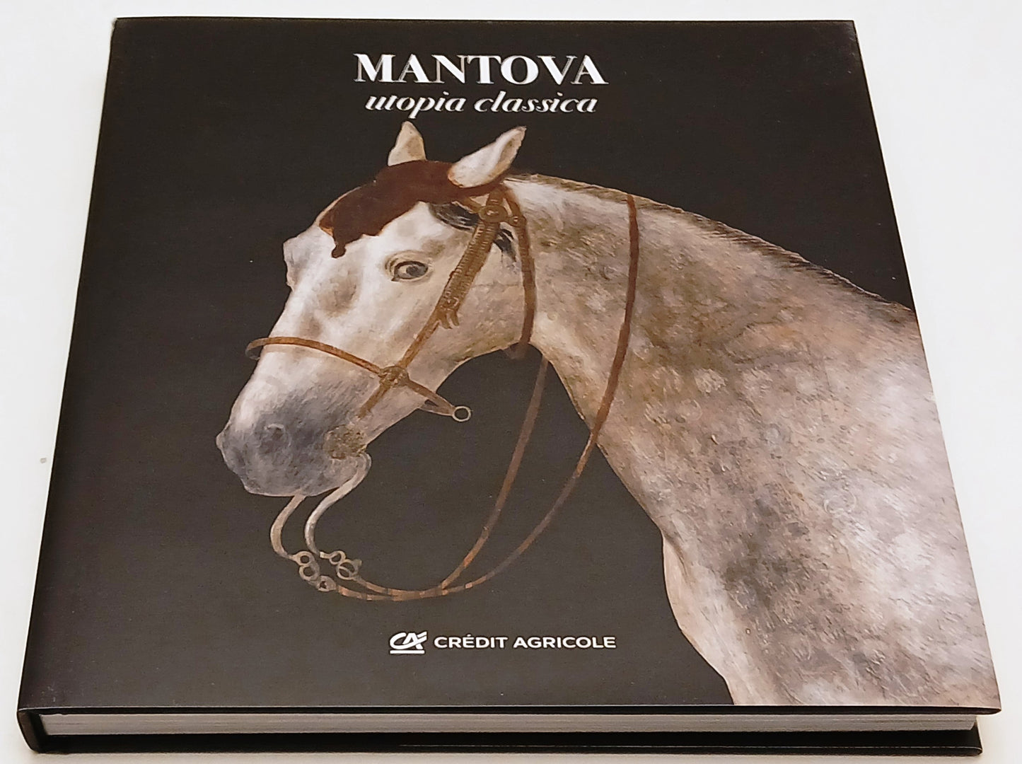 Mantova Utopia Classica  - Franco Maria Ricci FMR Credit Agricole - YFS120
