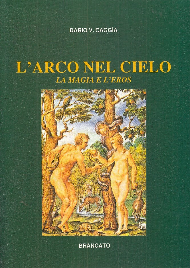 LZ- L'ARCO NEL CIELO - DARIO V. CAGGIA - BRANCATO --- 1991 - B - ZFS525