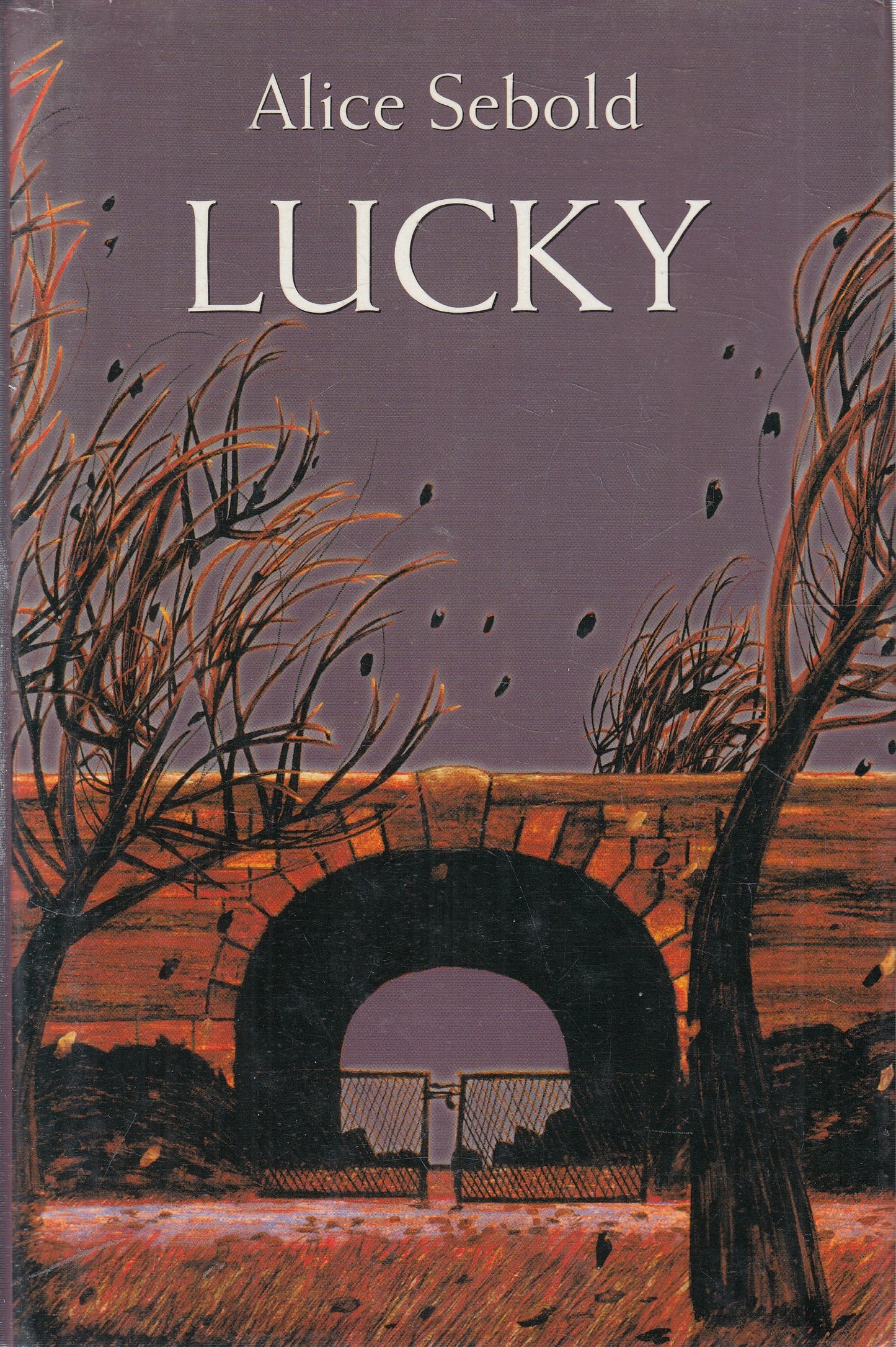 LN2- LUCKY - ALICE SEBOLD - MONDOLIBRI - CS - JXS236
