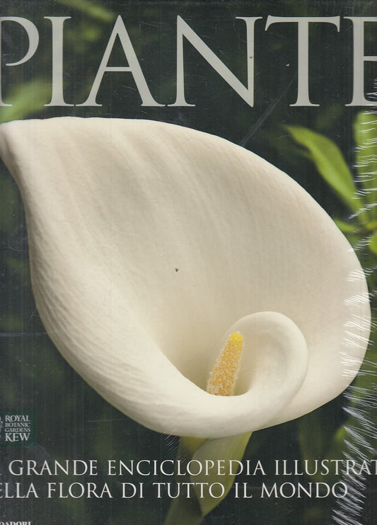 LZ- PIANTE ENCICLOPEDIA FLORA TUTTO IL MONDO -- MONDADORI --- 2000 - CS - YFS848