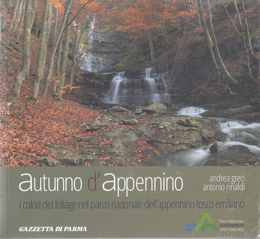 LZ- AUTUNNO D'APPENNINO COLORI FOLIAGE - GRECI - GAZZETTA --- 2010 - B - YDS77
