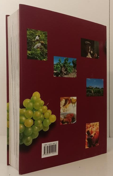 LK- VINO - ANDRE' DOMINE' - GRIBAUDO KONEMAN --- 2004 - CS- YFS760