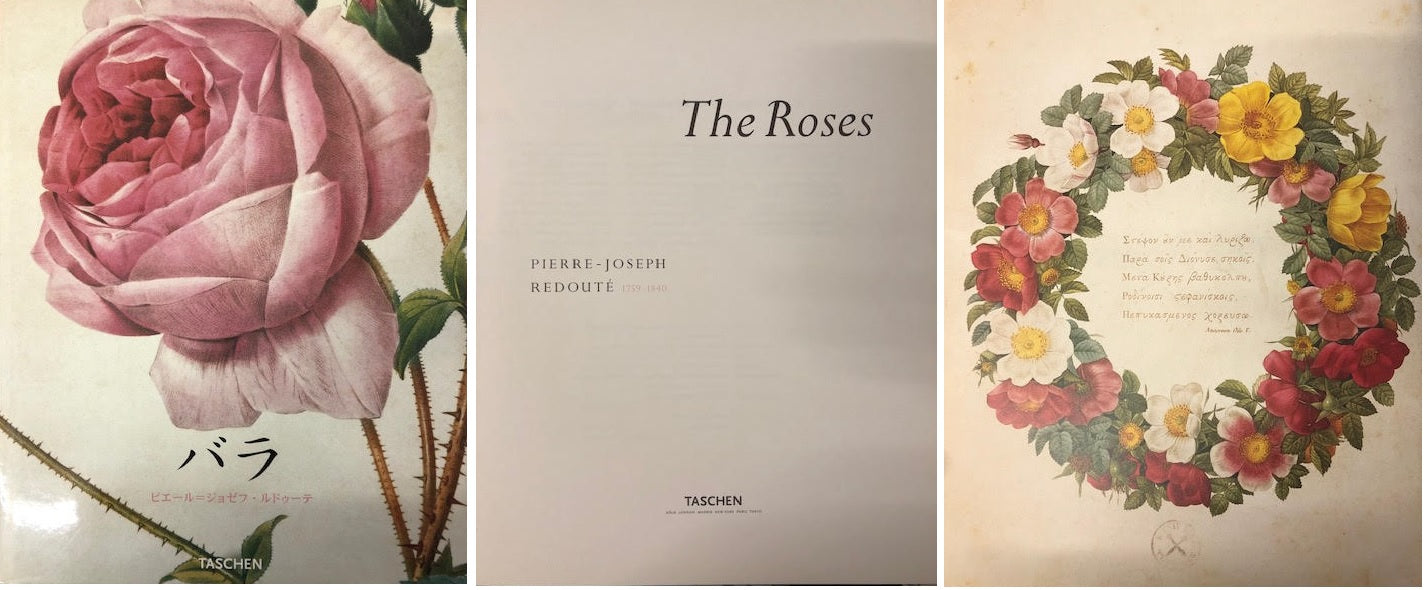 LT- THE ROSES IN ITALIANO FRANCESE INGLESE -- TASCHEN --- 2001 - CS - YFS794