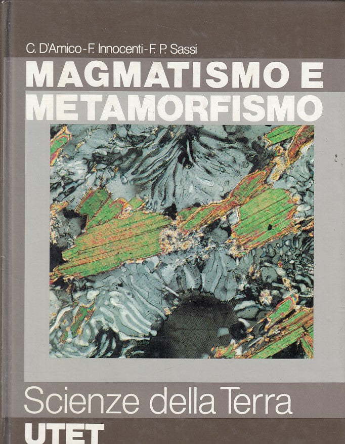 LZ- MAGMATISMO E METAMORFISMO -- UTET - SCIENZE DELLA TERRA -- 1987 - C - ZFS11