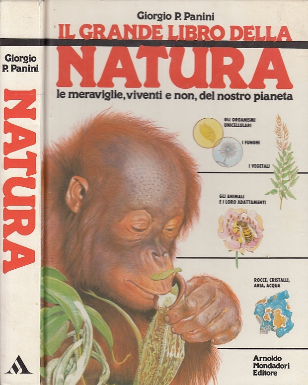 LZ- NATURA MERAVIGLIE VIVENTI E NON - PANINI - MONDADORI --- 1989 - C - YDS480