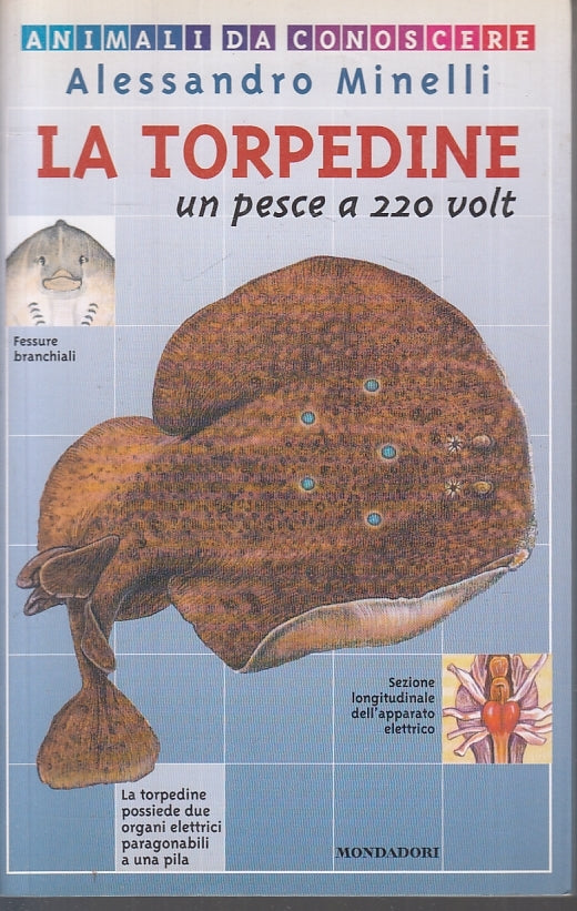 LZ- LA TORPEDINE UN PESCE A 220 VOLT - MINELLI - MONDADORI --- 2000- B- ZFS178