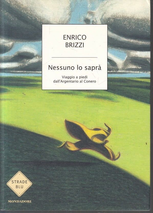 LN- NESSUNO LO SAPRA' - ENRICO BRIZZI - MONDADORI - STRADE BLU-- 2005- B- YFS21