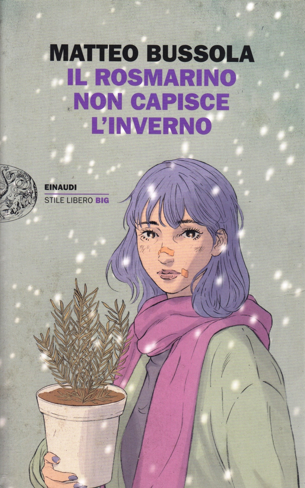 Il rosmarino non capisce l'inverno - Matteo Bussola - Einaudi SL Big - XFS