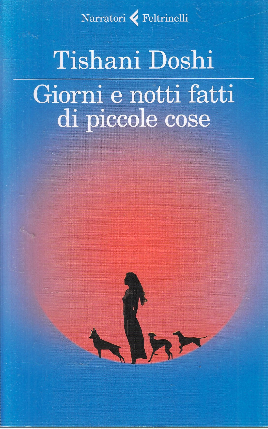 Giorni e notti fatti di piccole cose - Tishani Doshi- Feltrinelli Narratori- XFS